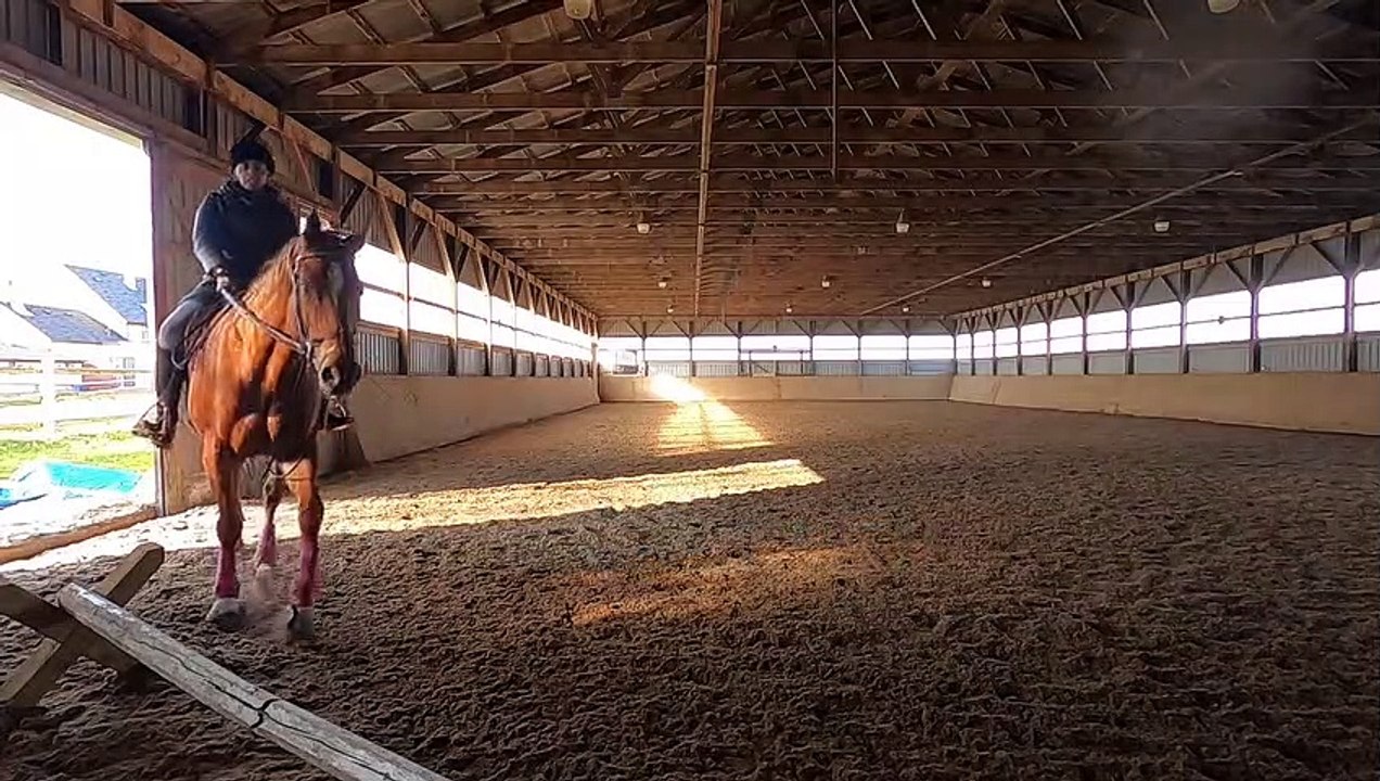 Séance d'équitation - Halloween 2020