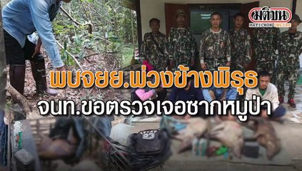 พบจยย.พ่วงข้างมีพิรุธ จนท.ขอตรวจเจอซากหมูป่า