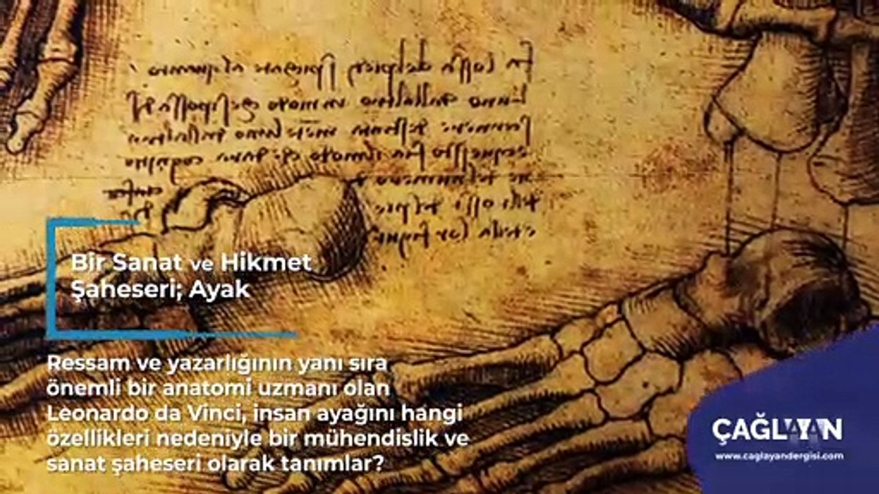 Ayak