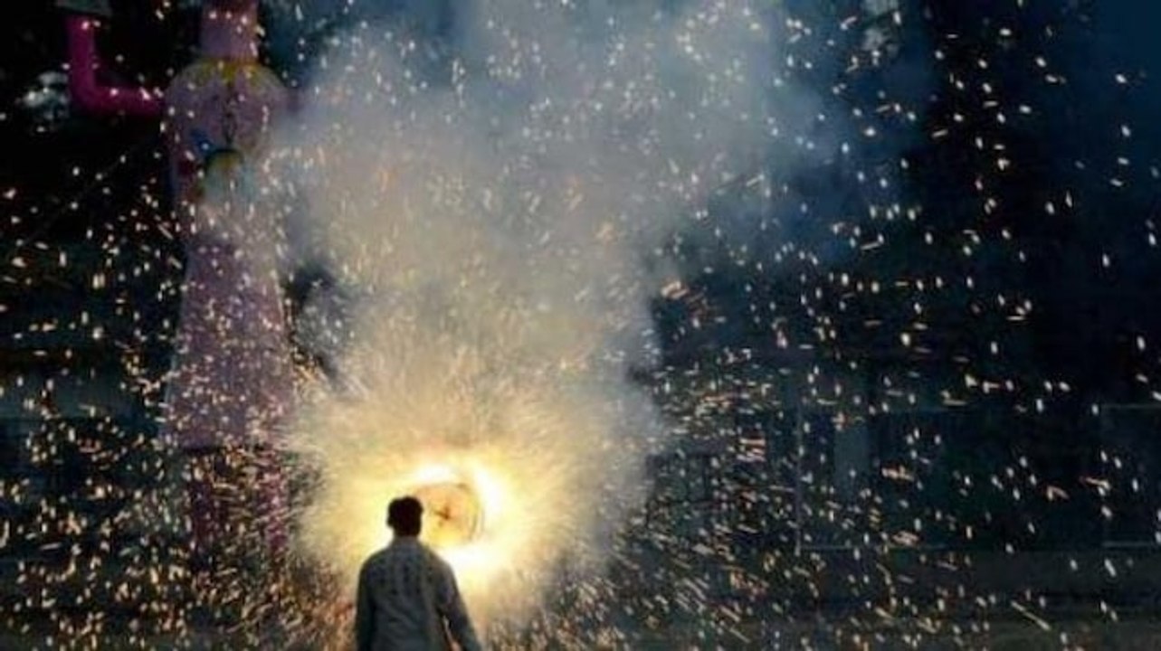 NGT imposes ban on sale, use of crackers in NCR