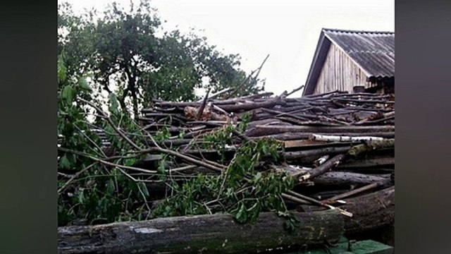 Arriverez-vous à trouver le chat caché dans cette photo...