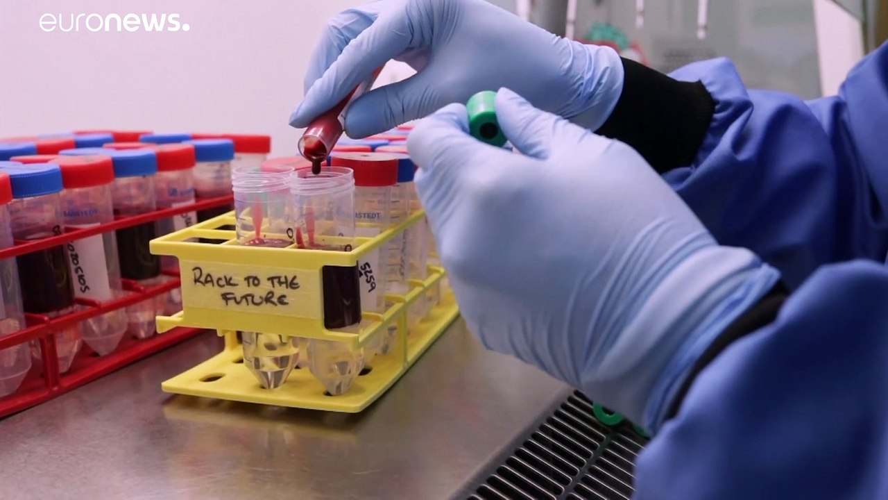 Von Nerz auf Mensch: Sorge um mutiertes Coronavirus Cluster-5