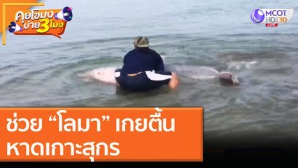 ช่วย “โลมา” เกยตื้น หาดเกาะสุกร [9 พ.ย. 63] คุยโขมงบ่าย 3 โมง | 9 MCOT HD