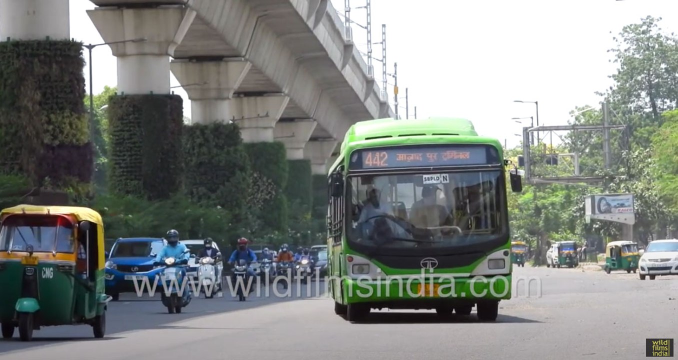Moti Bagh daily traffic at noontime: Semi- lockdown just a farce?