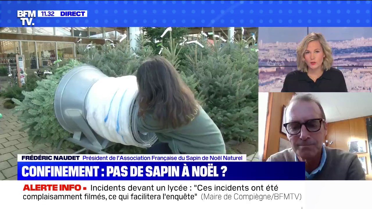 Aura-t-on des sapins pour Noël ? BFMTV répond à vos questions