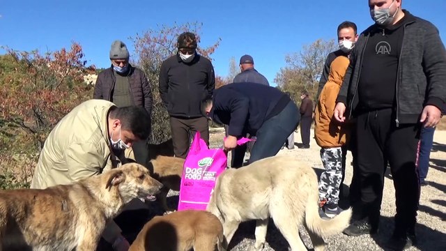 Kahramankazan'da sağlıklı yaşam yürüyüşü - ANKARA