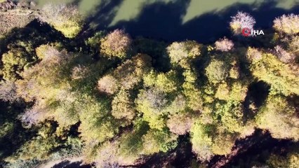 Yenice ormanlarında sonbahar güzelliği