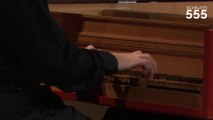 Scarlatti : Sonate en ré mineur K 41 (Enrico Baiano) - #Scarlatti555
