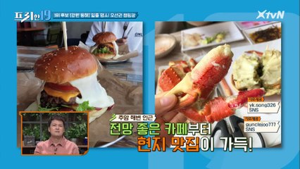 동해 일출 명소! 해변 앞 오션권 캠핑장 [전국 캠핑 여지도 19]