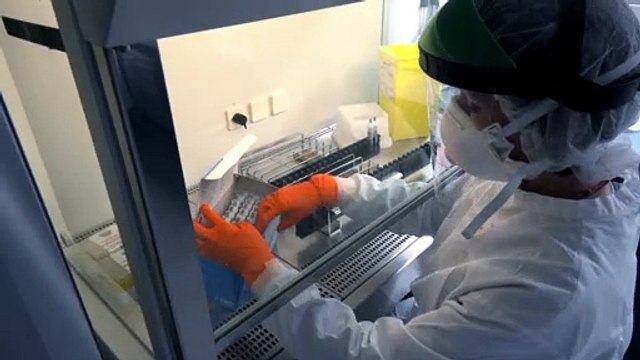 Pfizer asegura que su vacuna contra el COVID-19 es eficaz en más del 90%