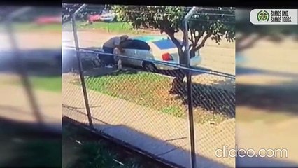 Cogieron a un \'emporio familiar\' dedicado a robar carros