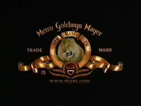 Crocodile Hunter - Auf Crash-Kurs