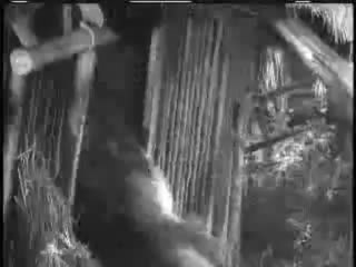 KUROSAWA SEVEN SAMURAI