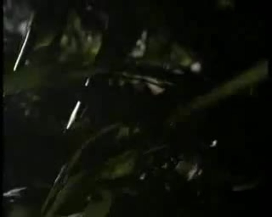 Sniper Trailer