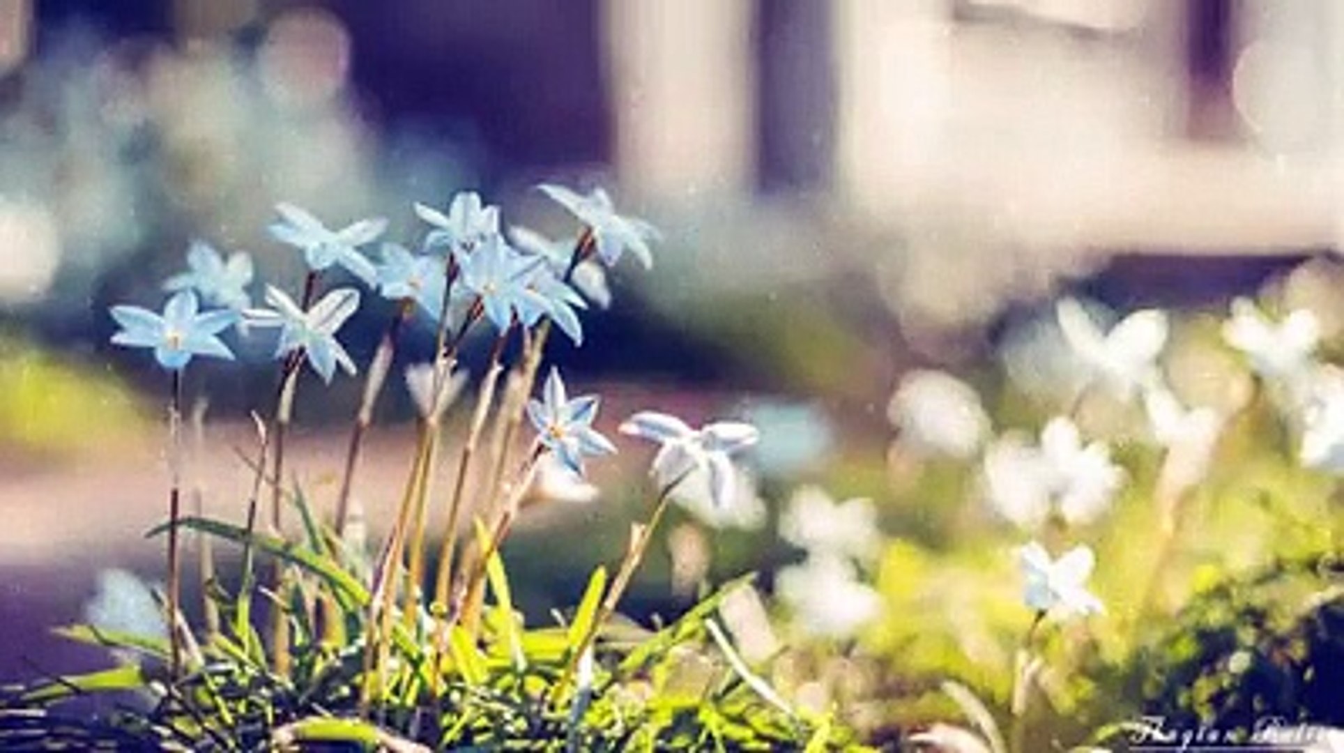 ⁣Relaxing Piano Music | Romantic Music  | Meditation Music |Sleep Music | Ambient Music........