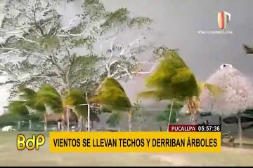 Vientos huracanados en Pucallpa derribaron techos y árboles