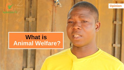 Legal point of view : What is animal welfare?