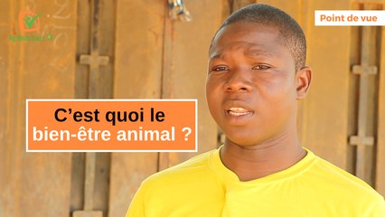 Point de vue juridique : C'est quoi le bien-être animal ?