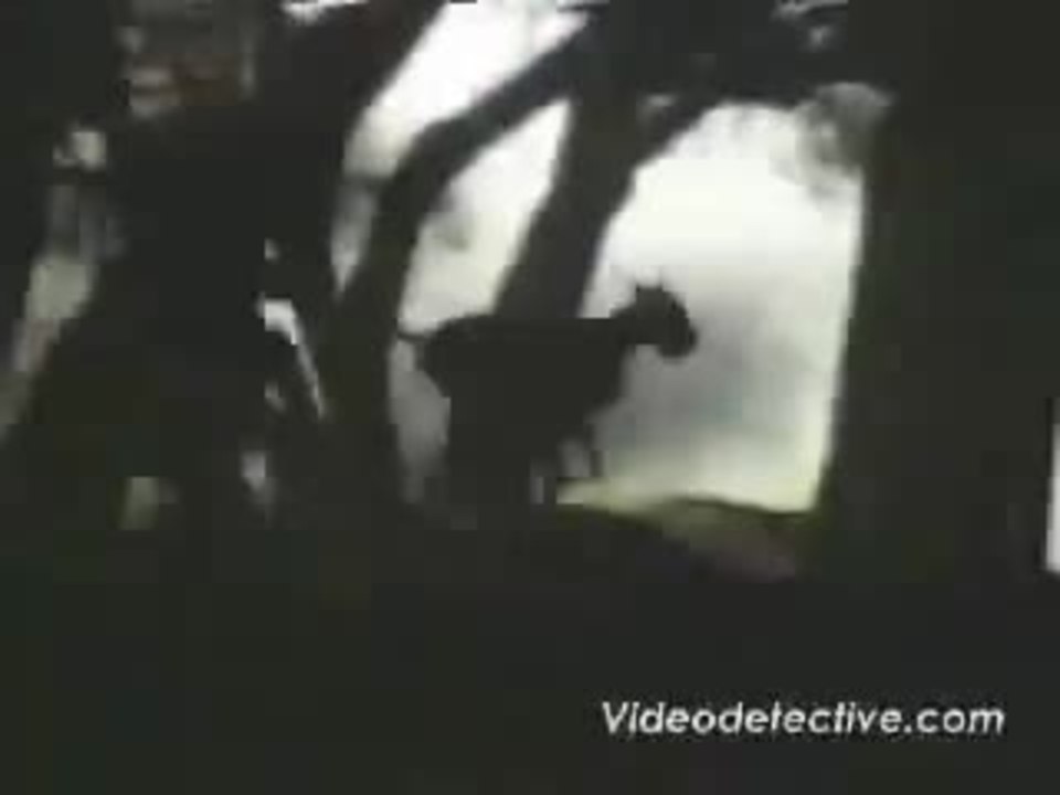 Rumpelstiltskin trailer (1995)
