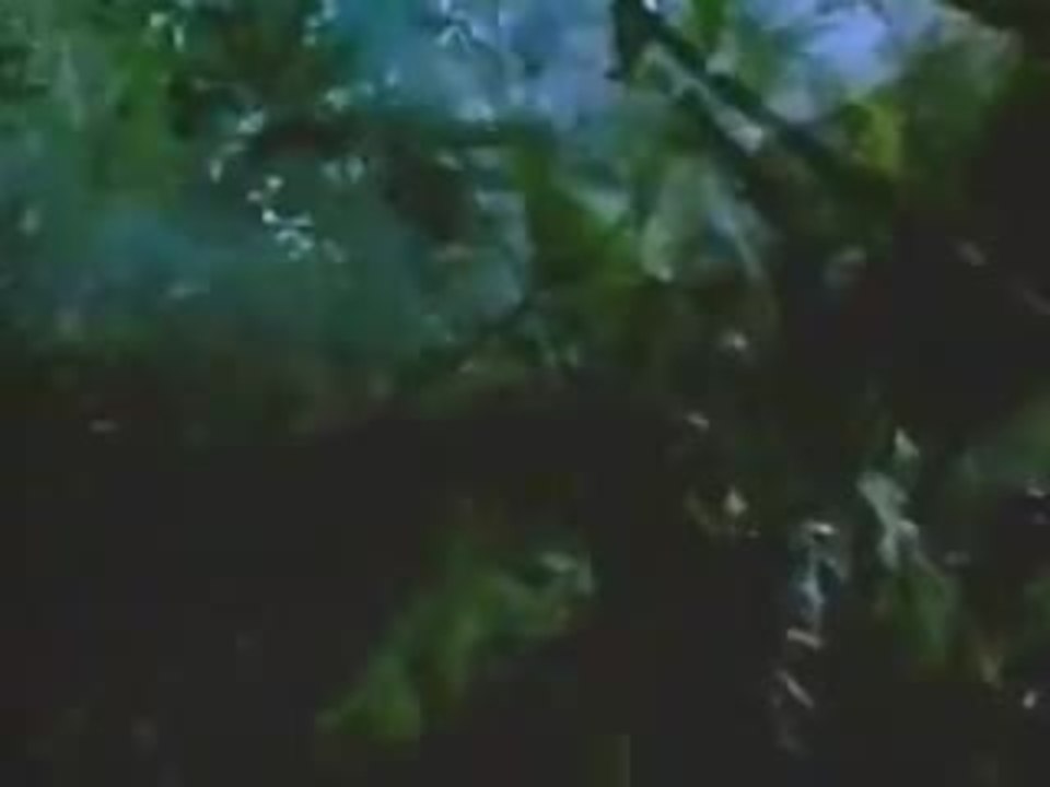 Adventures in Dinosaur City