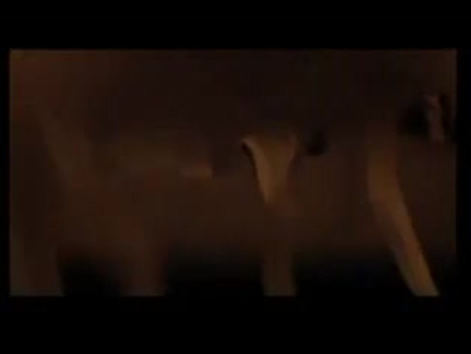 MOVIE : SOLYARIS (Solaris)  [1972]