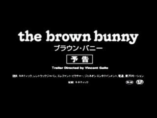 The Brown Bunny