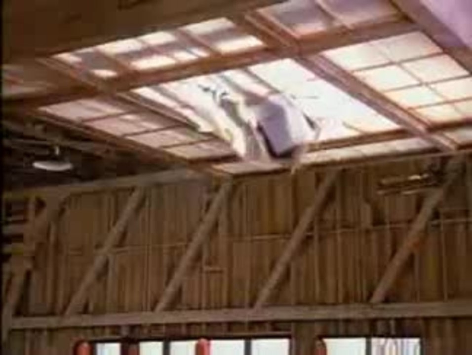 Naked Gun 2 1/2