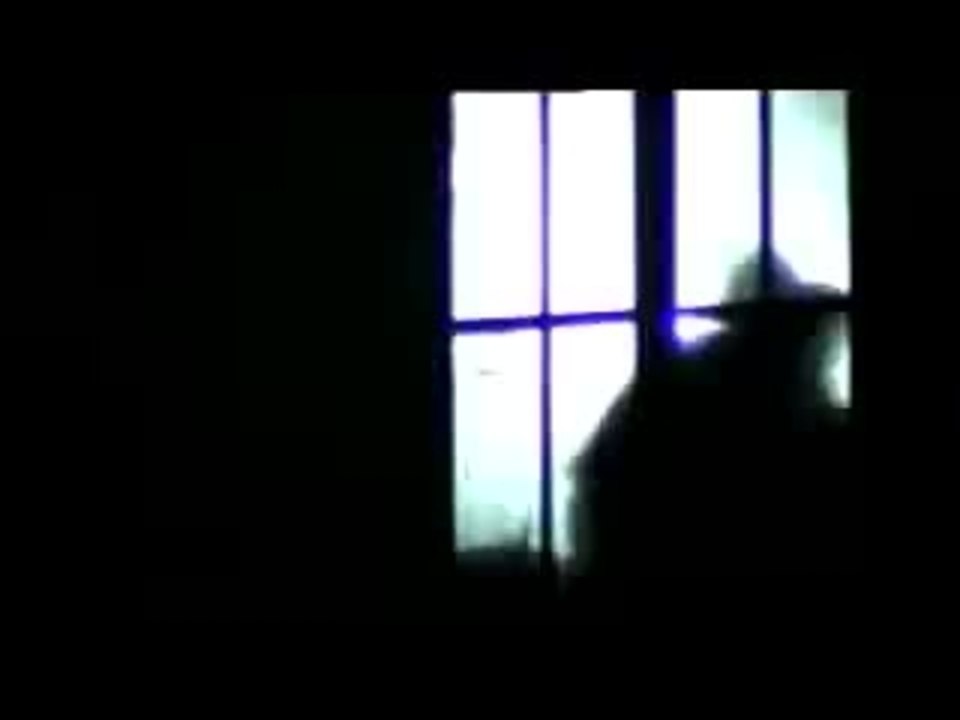 Feiern - der Trailer zum Film