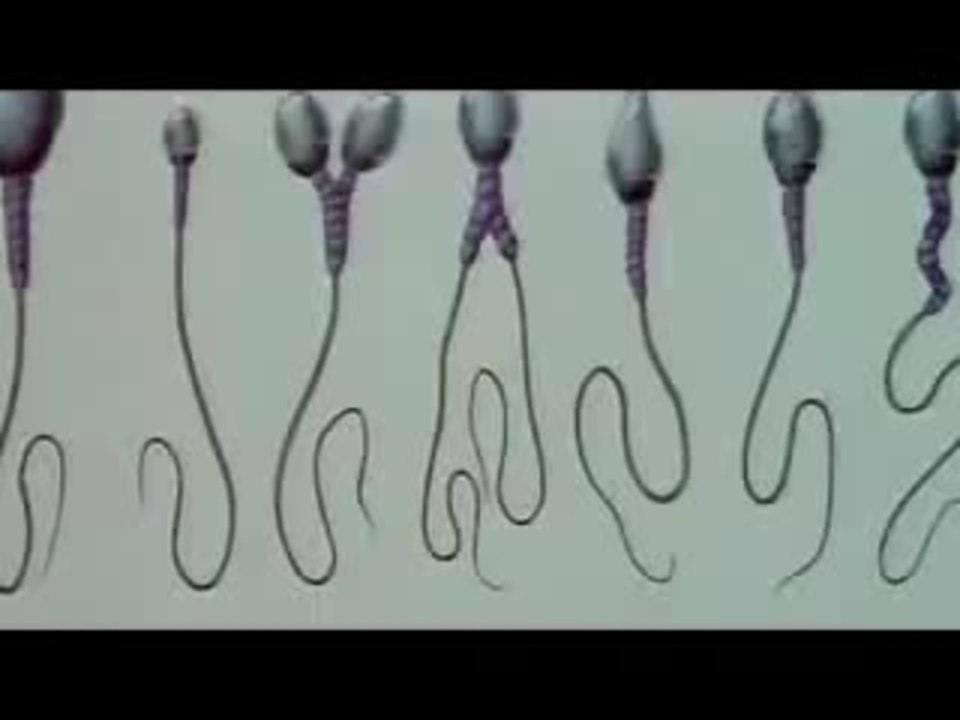 The Way of the Gun Trailer