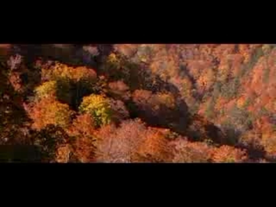 Shinobi Trailer