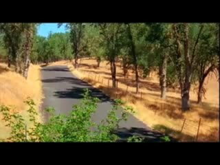 SHERMAN'S WAY - Teaser Trailer