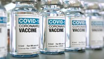 Promising COVID Vaccine Sends Stocks Soaring