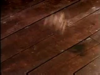 Golden Voyage of Sinbad trailer