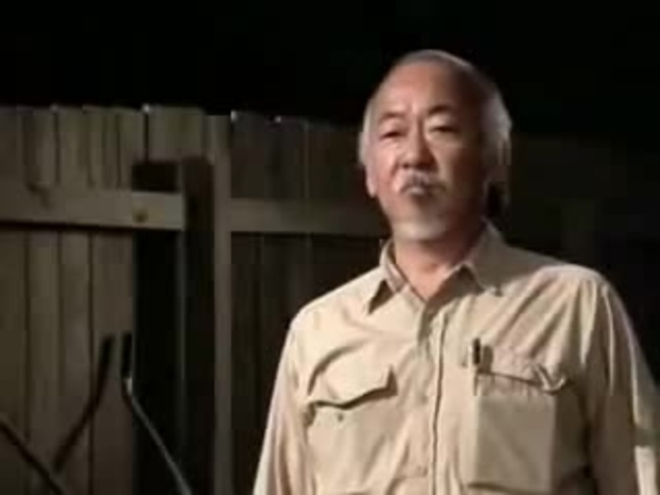 Karate Kid Training Montage