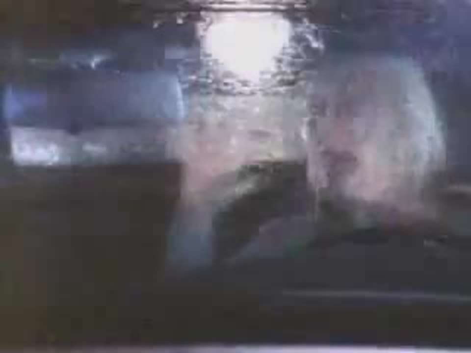 Death Becomes Her (1992) Trailer