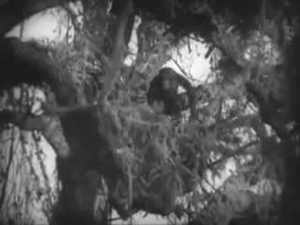 Tarzan the Ape Man (Johnny WeissmÃ¼ller)