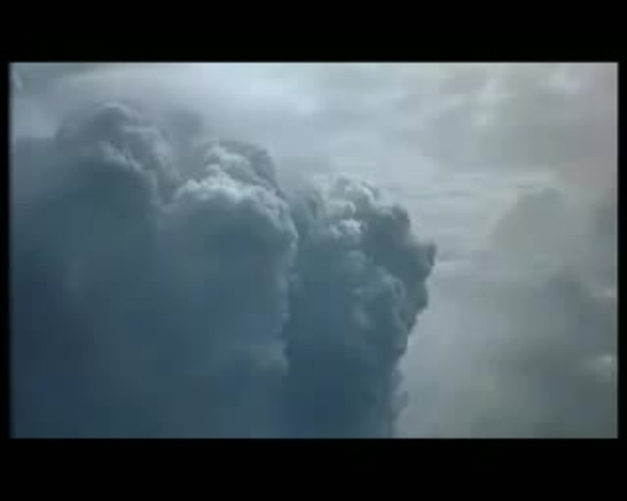 Microcosmos: Le peuple de l'herbe (1996)