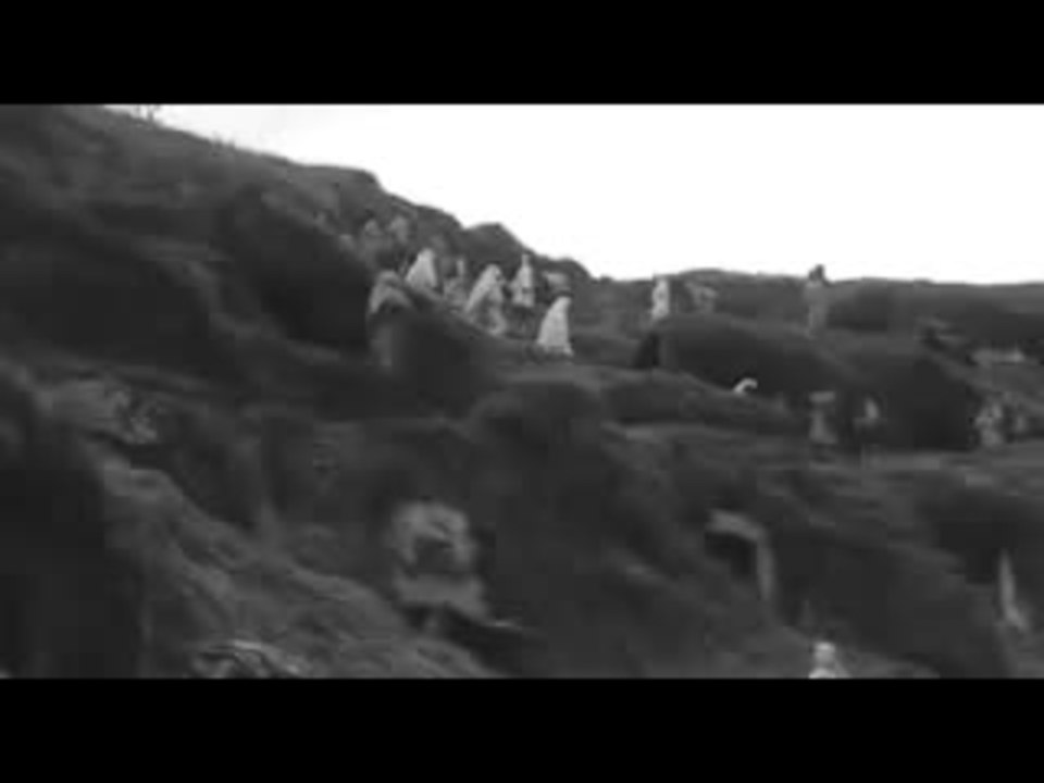 'Il Vangelo secondo Matteo', Odetta's song