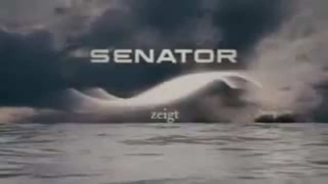 ZurÃ¼ck im Sommer - Trailer (deutsch)