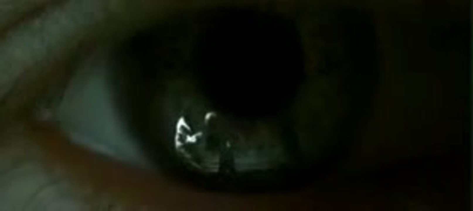 Tage des Zorns | Mads Mikkelsen & Thure Lindhardt | HQ Trailer