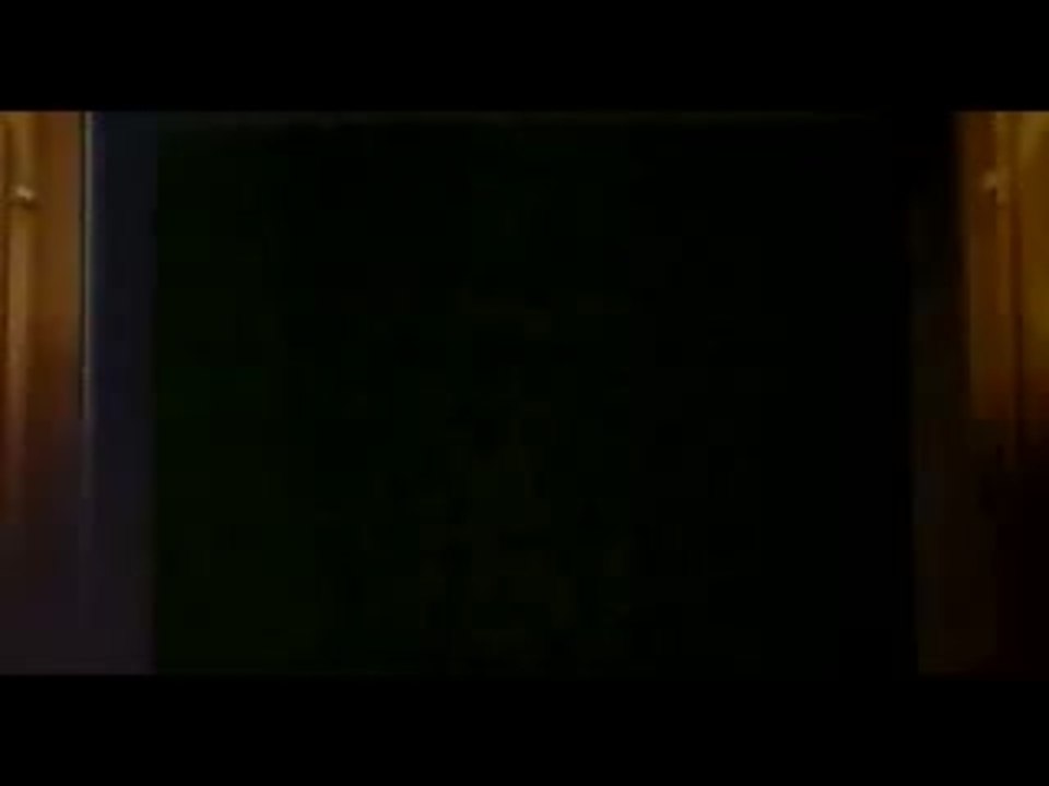 Cats & Dogs - Wie Hund und Katz