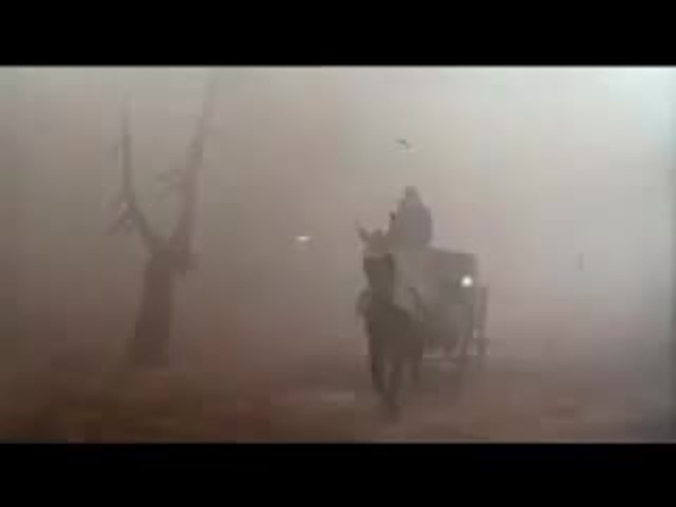 trailer : amarcord