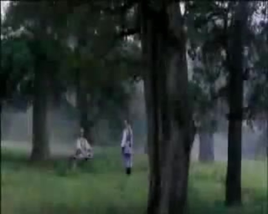 Donnie Yen - Wing Chun Trailer