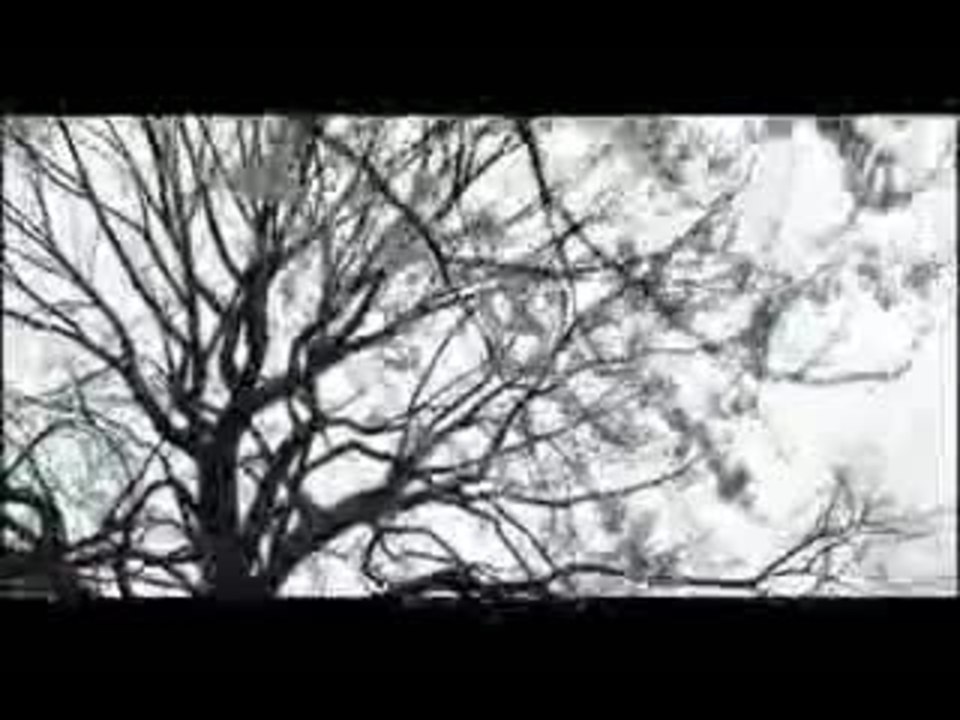 It runs in the family