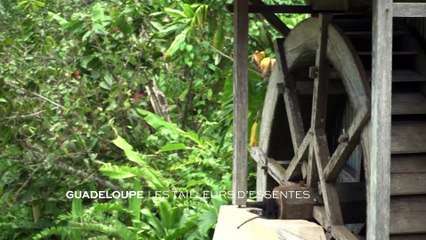 Guadeloupe : Les tailleurs d'essentes