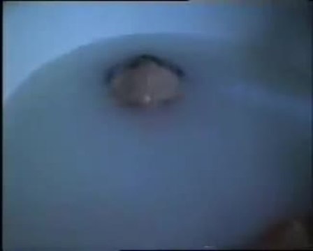Scanner Cop II