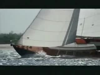 Domestic Disturbance Trailer