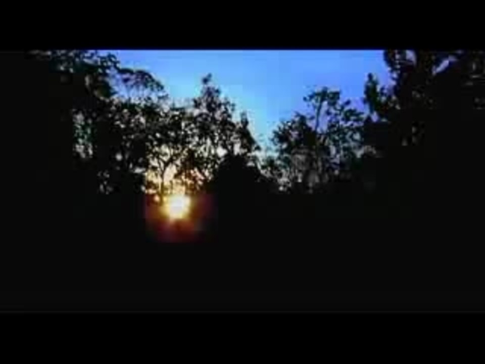 The Hawk is Dying (trailer)