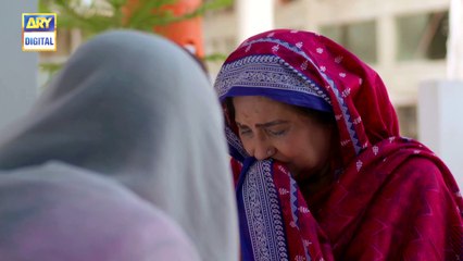 Bharaas Ep 19