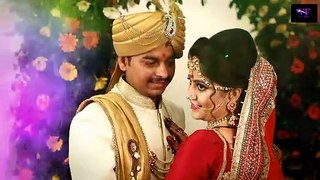 Song Project Premiere pro Project &  Edius 10/9/8 Project || Wedding Edius Video Editing Software Effects || Wedding projects || VIVEK FILM || #07